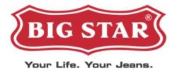 Logo Big Star